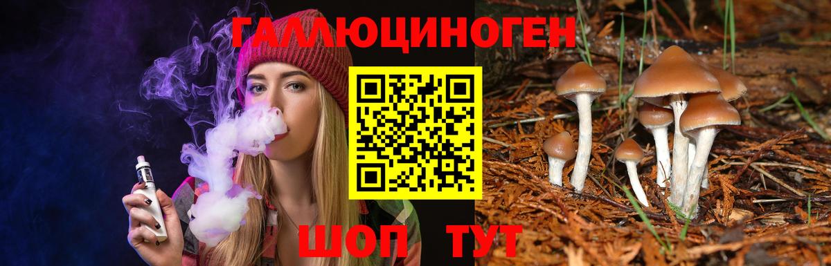 Галлюциногенные грибы ЛСД Гусь-Хрустальный